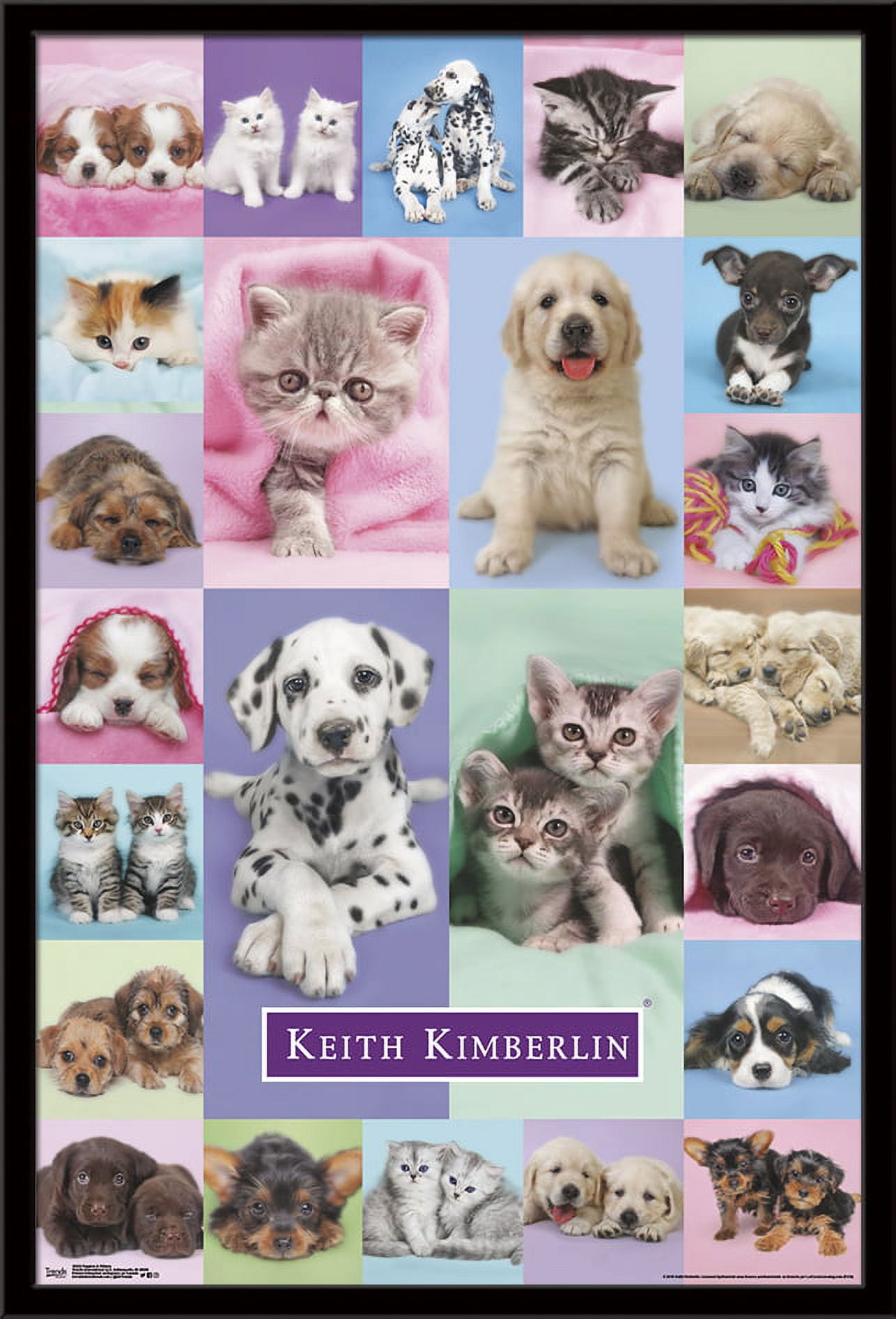 Keith Kimberlin - Puppies and Kittens Wall Poster, 22.375" x 34", Framed