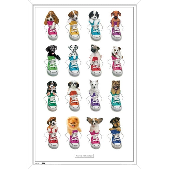 Keith Kimberlin - Puppies in Shoes Wall Poster, 14.725" x 22.375" Framed