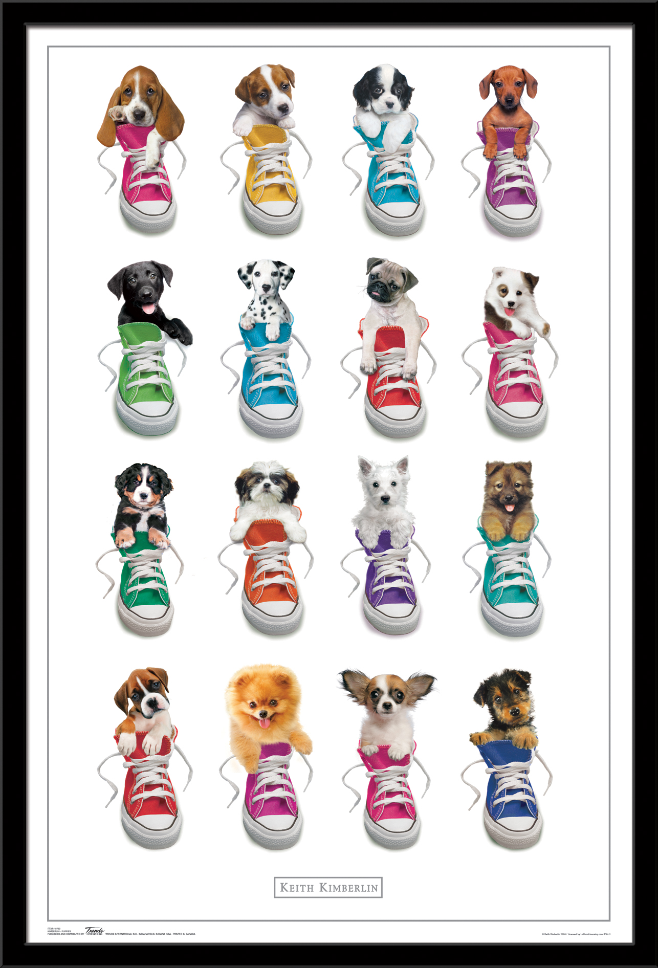Keith Kimberlin - Puppies in Shoes Wall Poster, 22.375" x 34", Framed