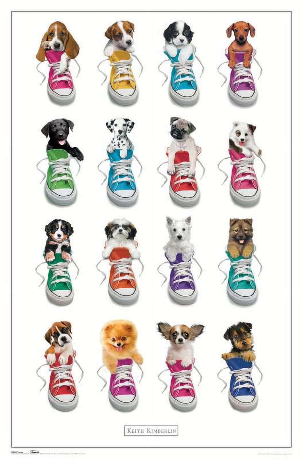 Keith Kimberlin - Puppies in Shoes Wall Poster, 22.375" x 34"