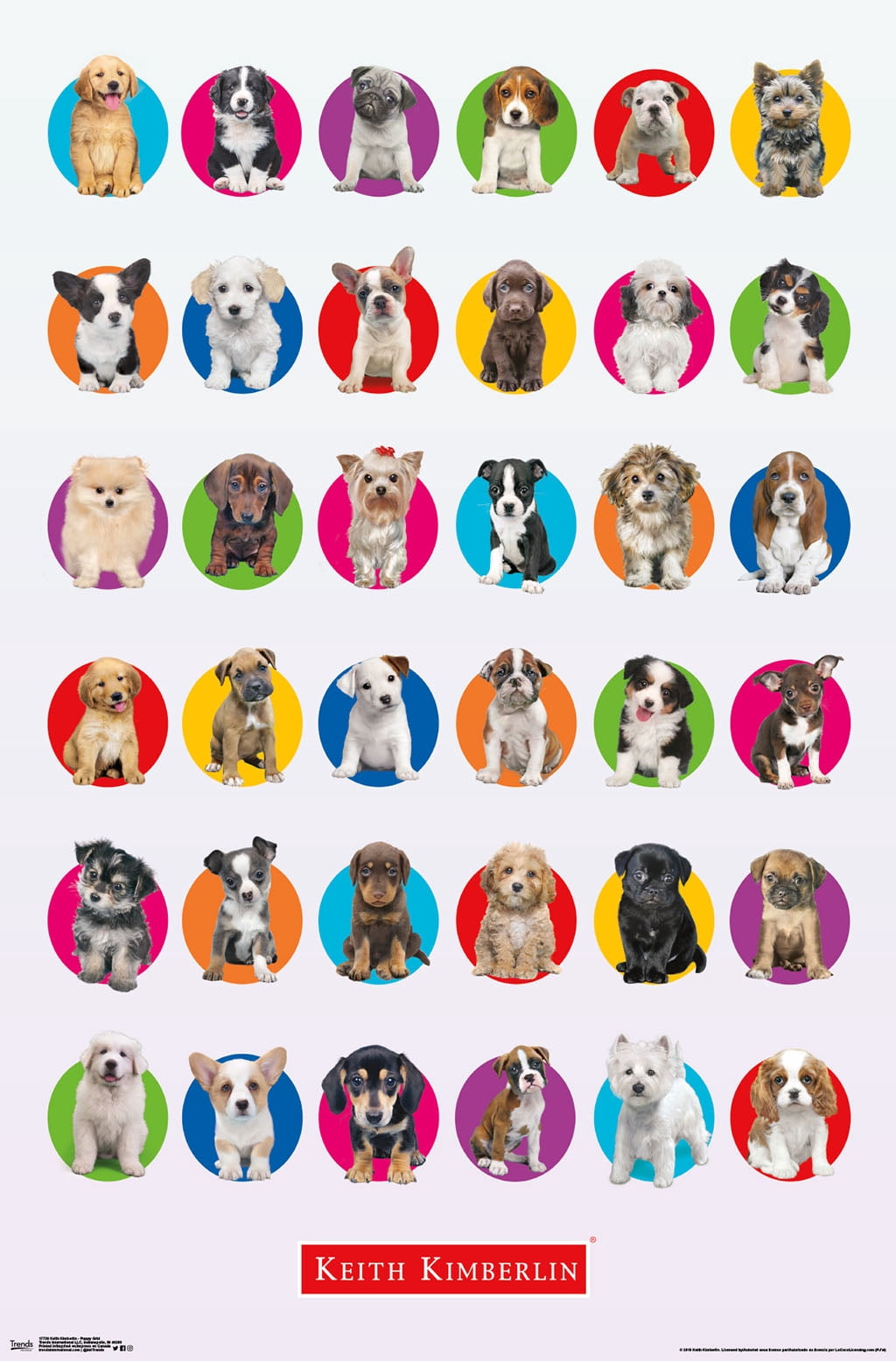Keith Kimberlin - Puppy Grid Wall Poster, 22.375" x 34"