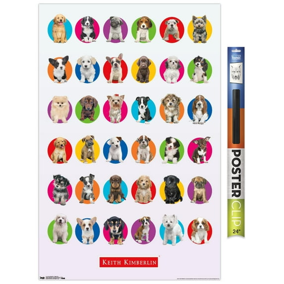 Keith Kimberlin - Puppy Grid Wall Poster, 22.375" x 34"