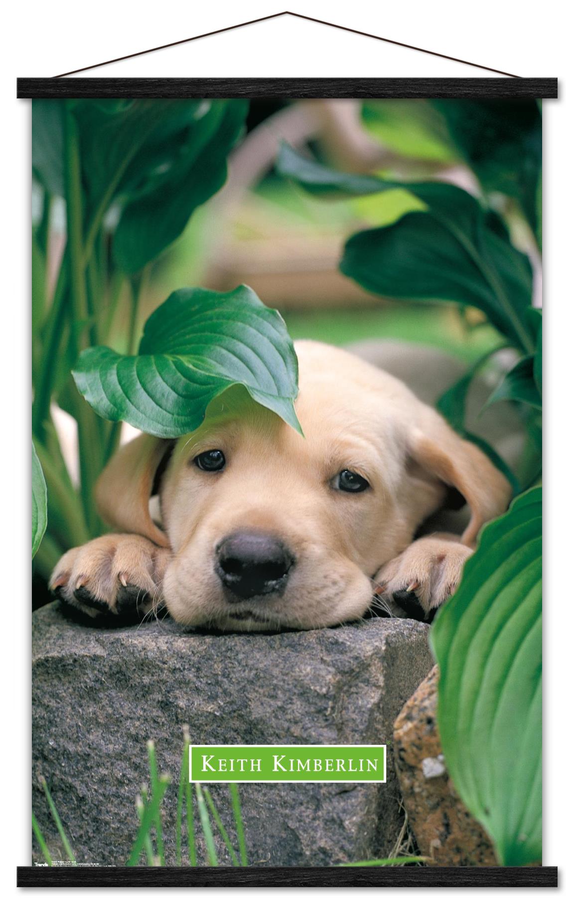 Keith Kimberlin - Puppy - Lazy Days Wall Poster with Wooden Magnetic Frame, 22.375" x 34"