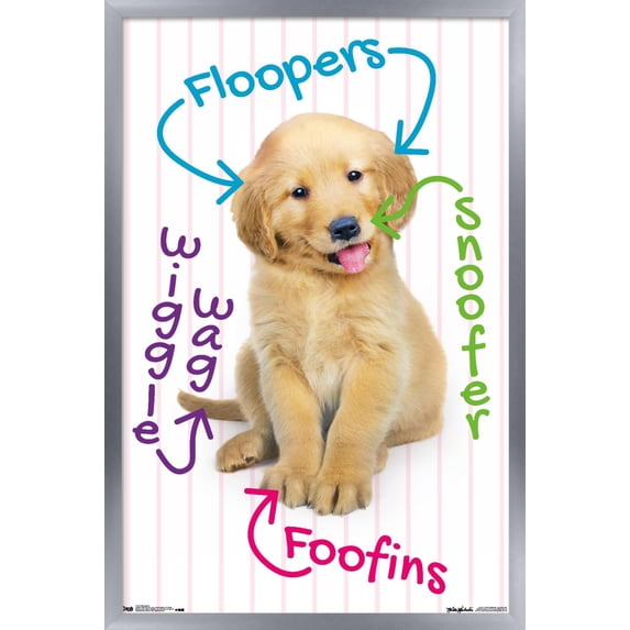 Keith Kimberlin - Puppy - Pup-A-Gram Wall Poster, 14.725" x 22.375", Framed