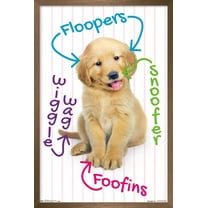 Keith Kimberlin - Puppy - Pup-A-Gram Wall Poster, 22.375" x 34", Framed