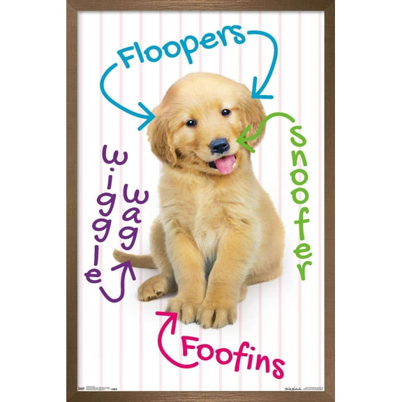 Keith Kimberlin - Puppy - Pup-A-Gram Wall Poster, 22.375" x 34", Framed