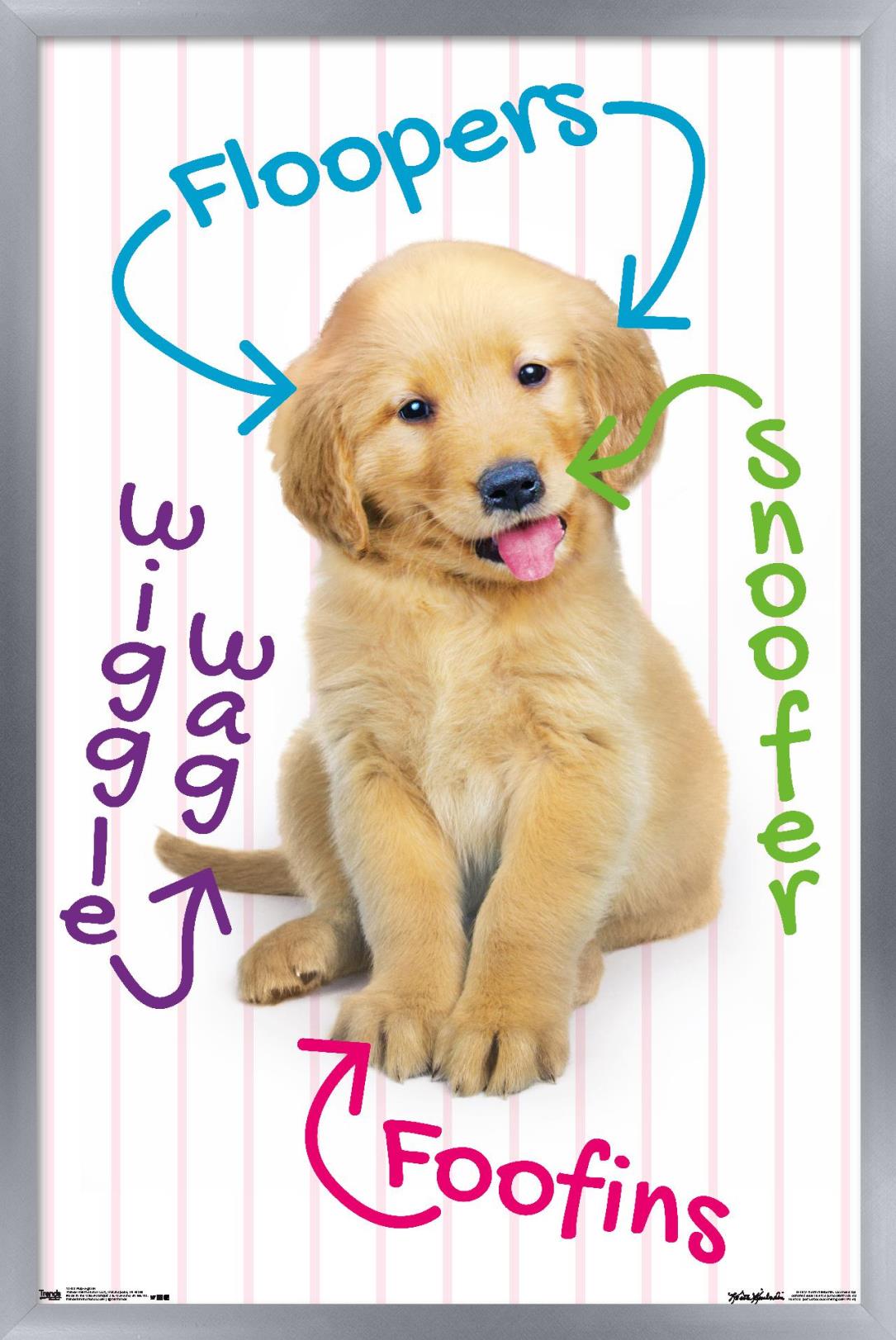 Keith Kimberlin - Puppy - Pup-A-Gram Wall Poster, 22.375" x 34", Framed