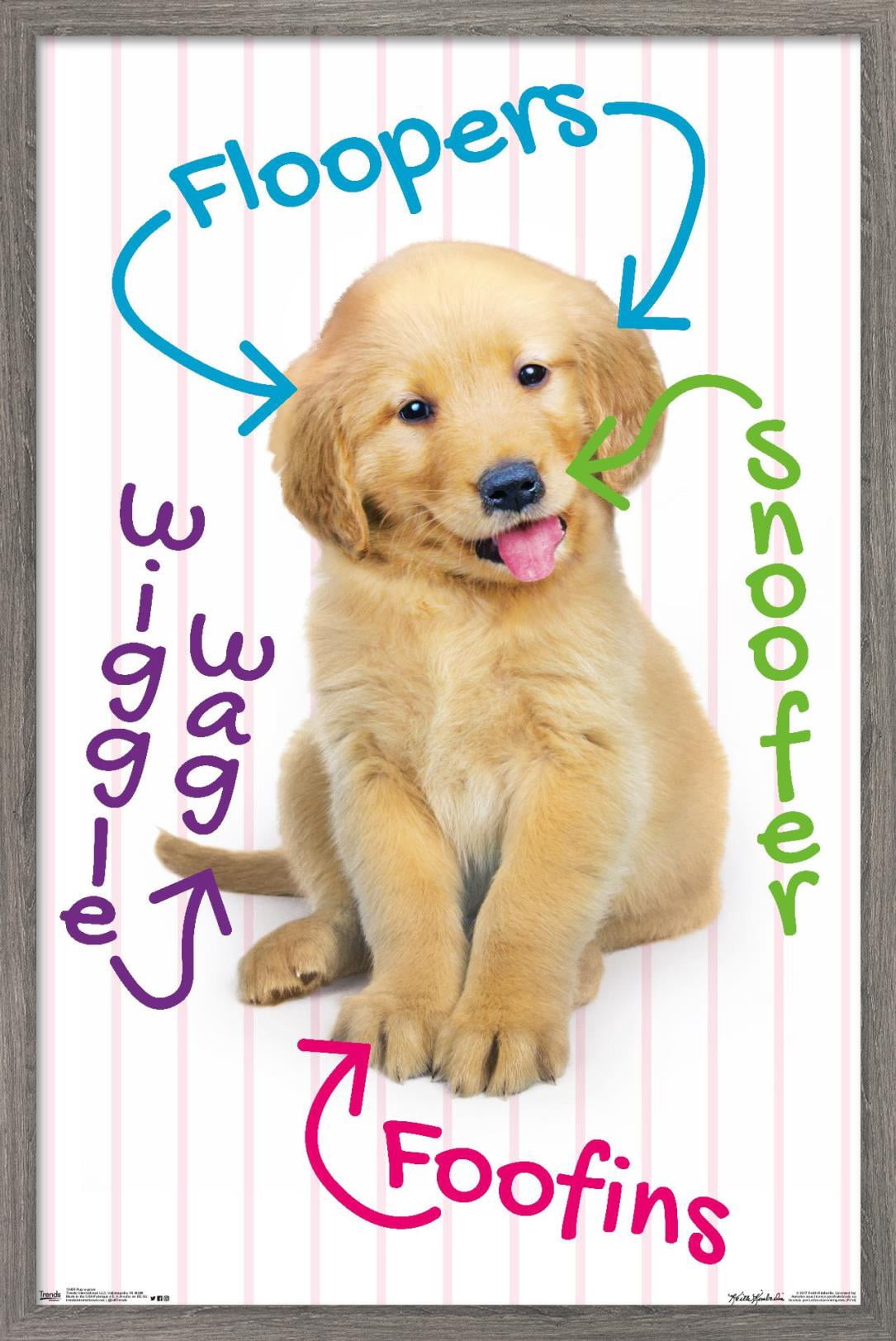 Keith Kimberlin - Puppy - Pup-A-Gram Wall Poster, 22.375" x 34", Framed