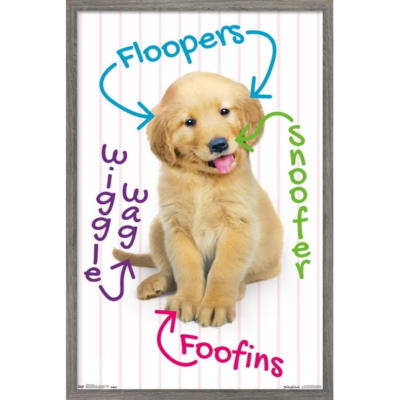 Keith Kimberlin - Puppy - Pup-A-Gram Wall Poster, 22.375" x 34", Framed