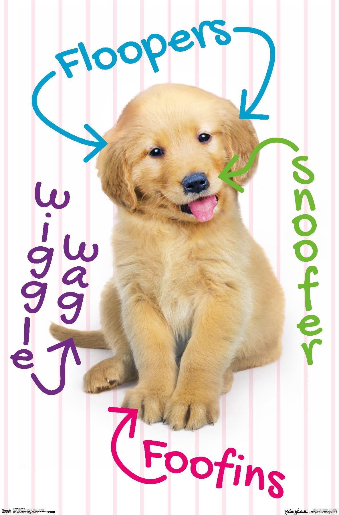 Keith Kimberlin - Puppy - Pup-A-Gram Wall Poster, 22.375" x 34"