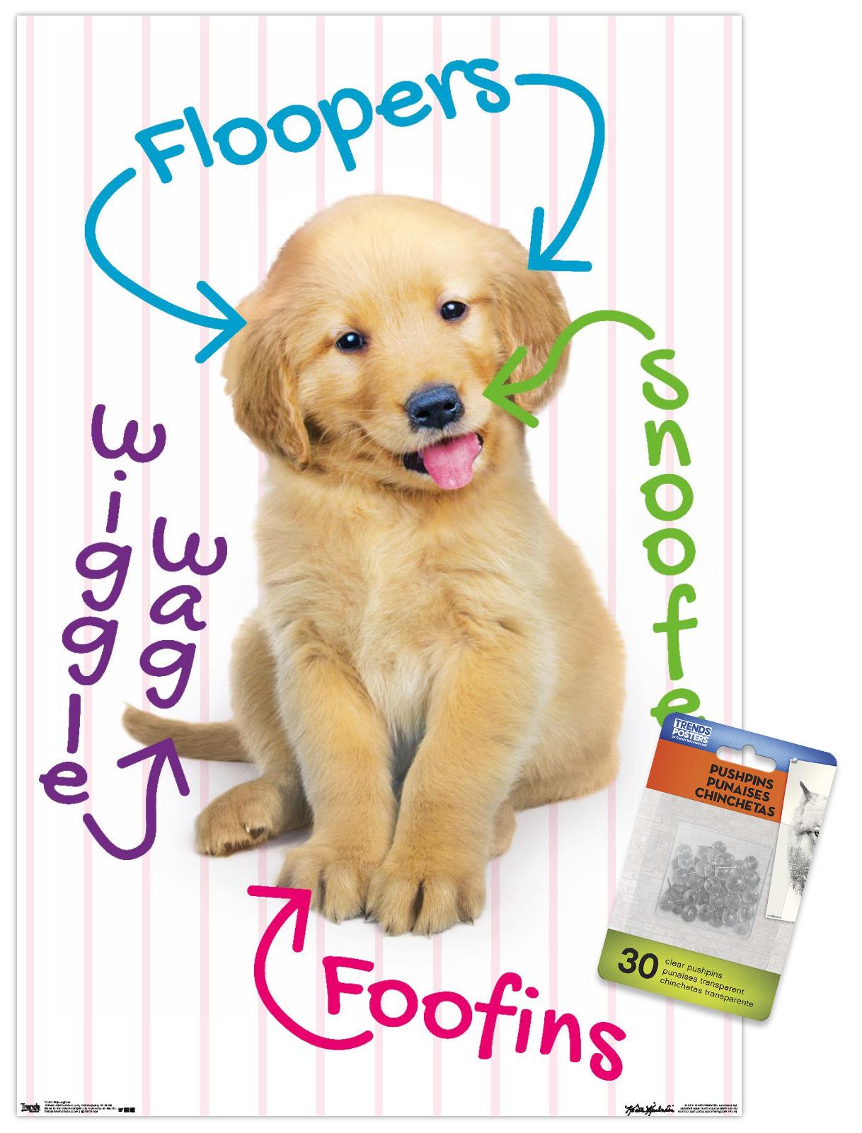 Keith Kimberlin - Puppy - Pup-A-Gram Wall Poster with Push Pins, 14.725" x 22.375"