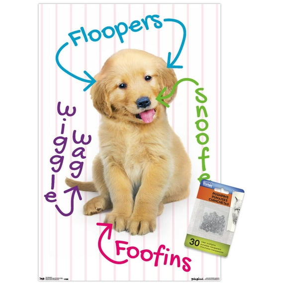 Keith Kimberlin - Puppy - Pup-A-Gram Wall Poster with Push Pins, 14.725" x 22.375"