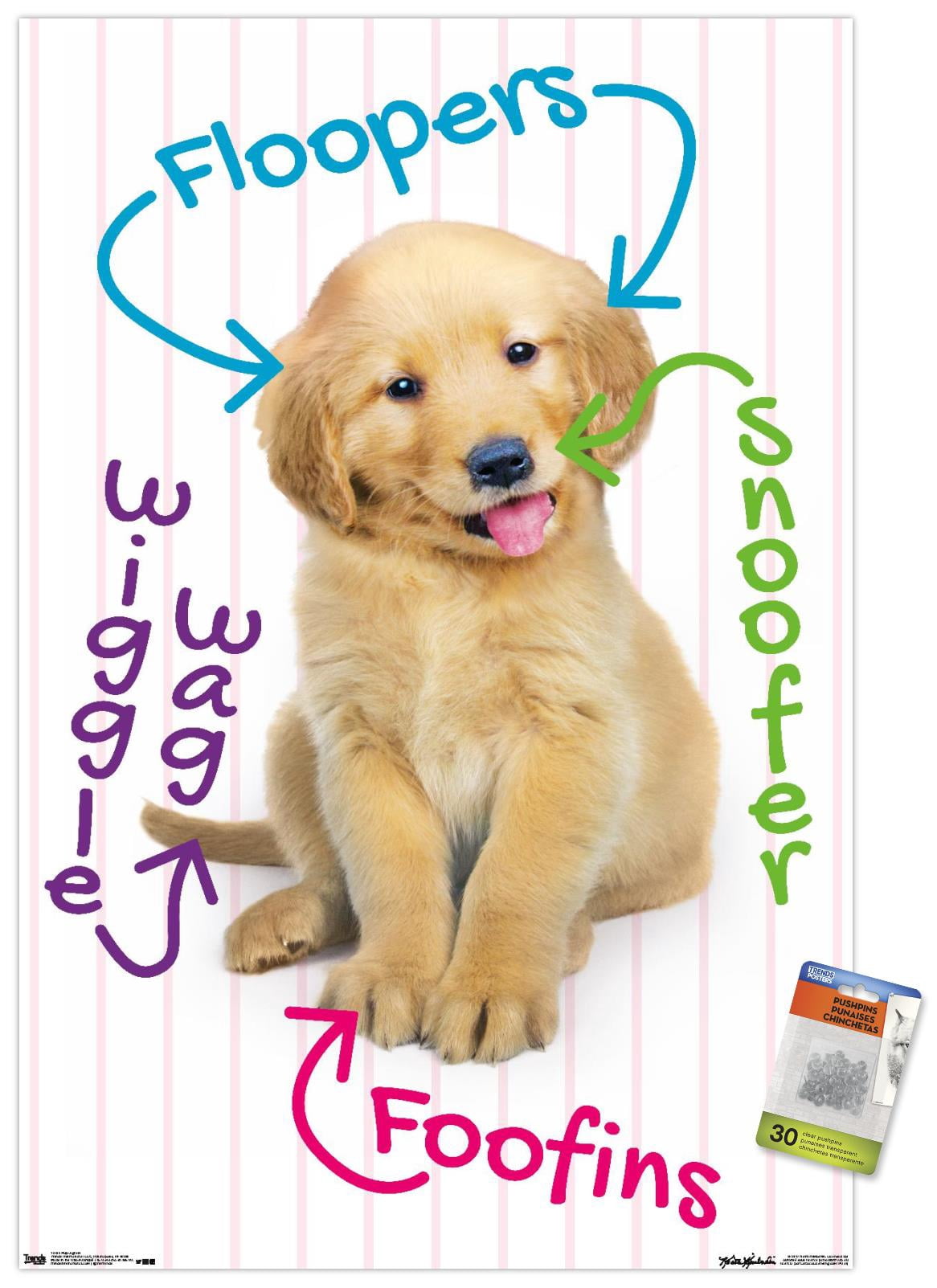 Keith Kimberlin - Puppy - Pup-A-Gram Wall Poster with Push Pins, 22.375" x 34"