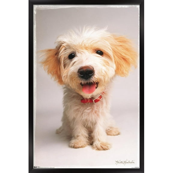 Keith Kimberlin - Puppy Wall Poster, 14.725" x 22.375" Framed