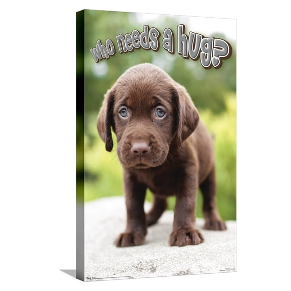 Keith Kimberlin - Puppy - Who Needs a Hug? Canvas Wall Poster, 14.725" x 22.375"