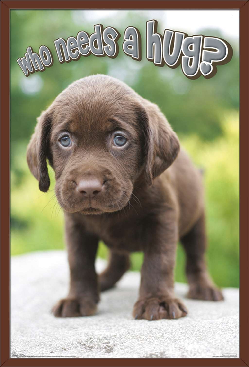 Keith Kimberlin - Puppy - Who Needs a Hug? Wall Poster, 22.375" x 34", Framed
