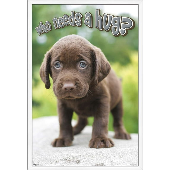 Keith Kimberlin - Puppy - Who Needs a Hug? Wall Poster, 22.375" x 34", Framed