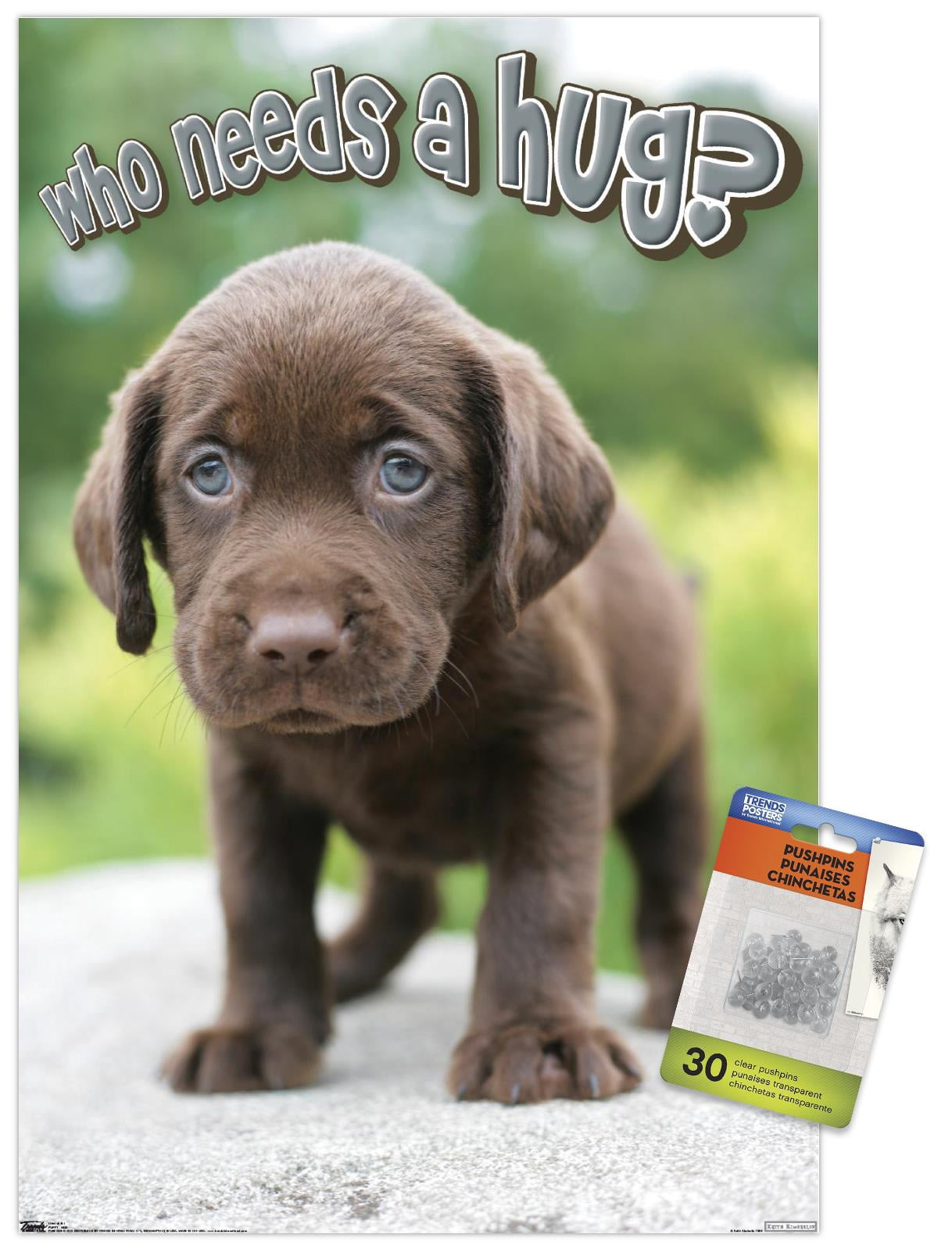 Keith Kimberlin - Puppy - Who Needs a Hug? Wall Poster with Push Pins, 14.725" x 22.375"