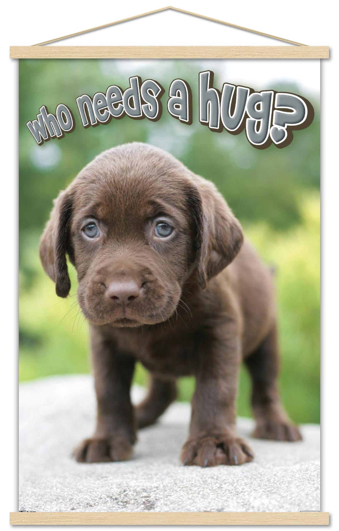 Keith Kimberlin - Puppy - Who Needs a Hug? Wall Poster with Wooden Magnetic Frame, 22.375" x 34"