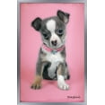 thumbnail image 1 of Keith Kimberlin - Puppy on Pink Background Wall Poster, 14.725" x 22.375", Framed, 1 of 6