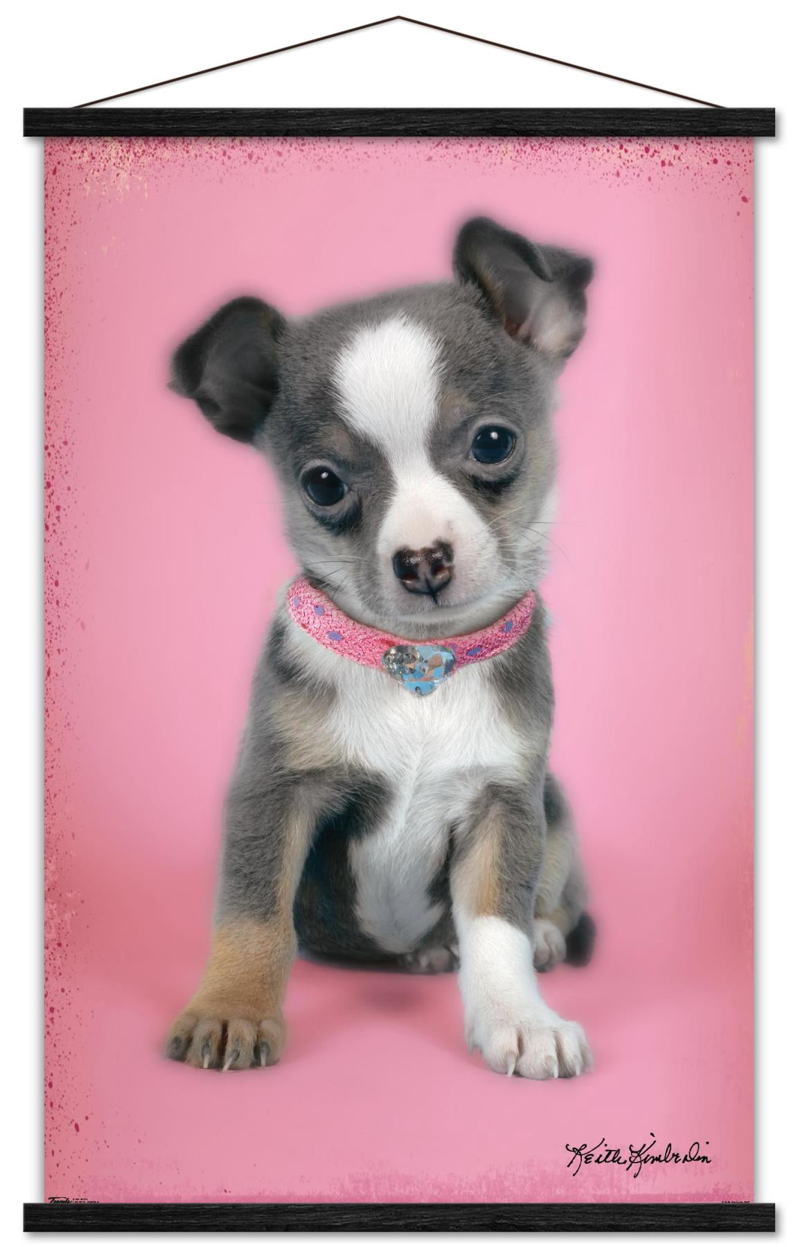 Keith Kimberlin - Puppy on Pink Background Wall Poster with Wooden Magnetic Frame, 22.375" x 34"