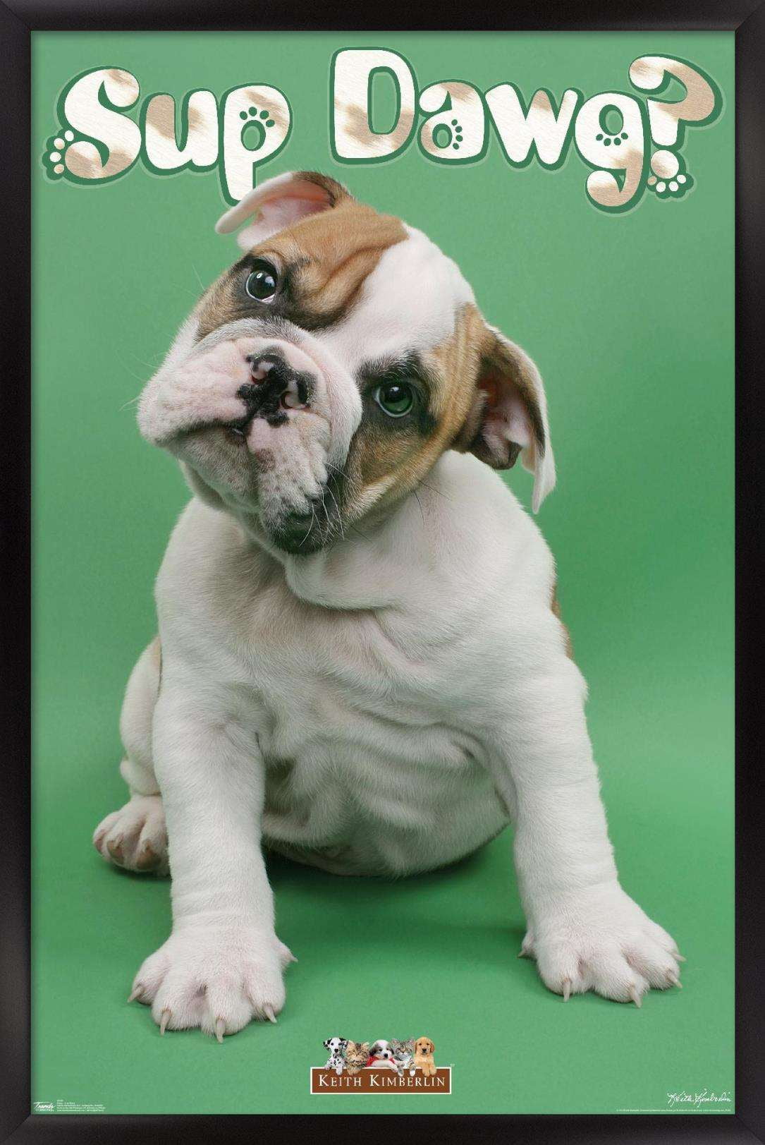 Keith Kimberlin - Sup Dawg Wall Poster, 14.725" x 22.375", Framed