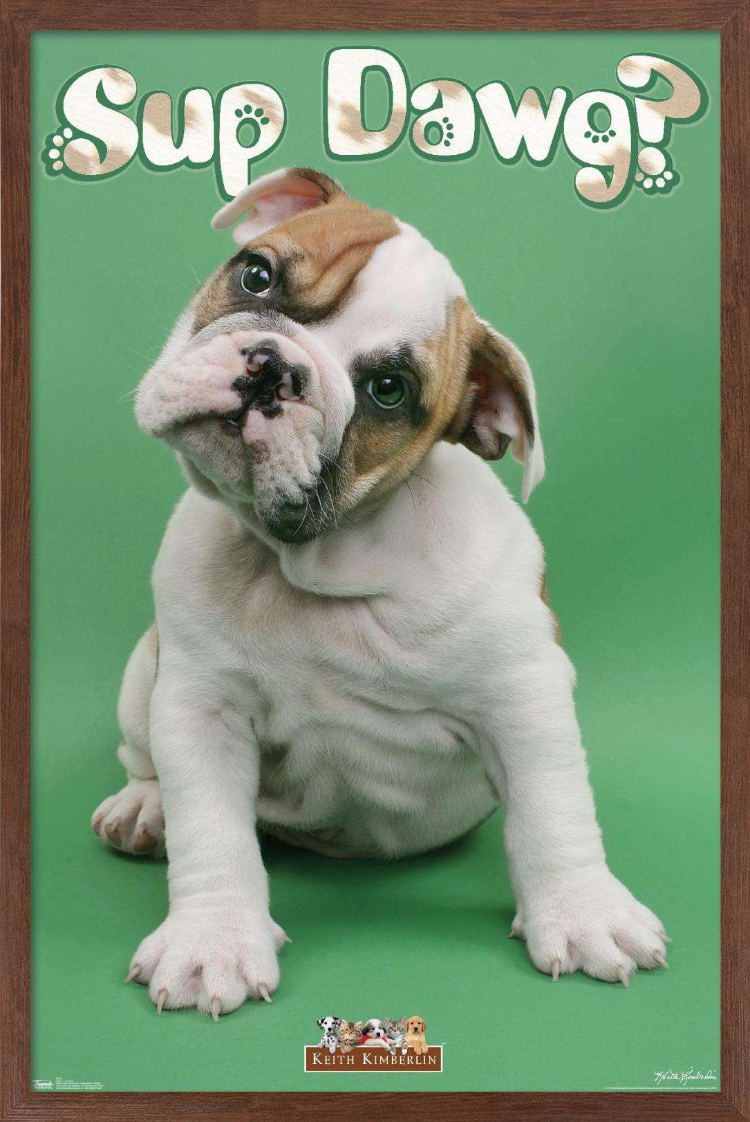 Keith Kimberlin - Sup Dawg Wall Poster, 14.725" x 22.375", Framed