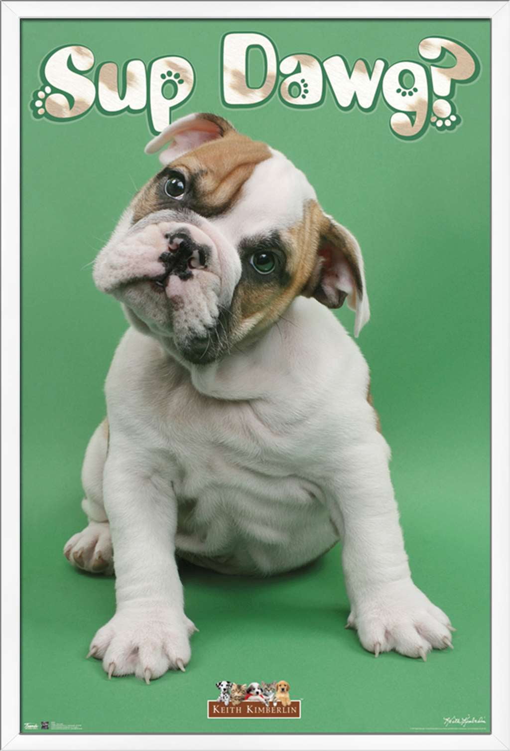 Keith Kimberlin - Sup Dawg Wall Poster, 22.375" x 34", Framed