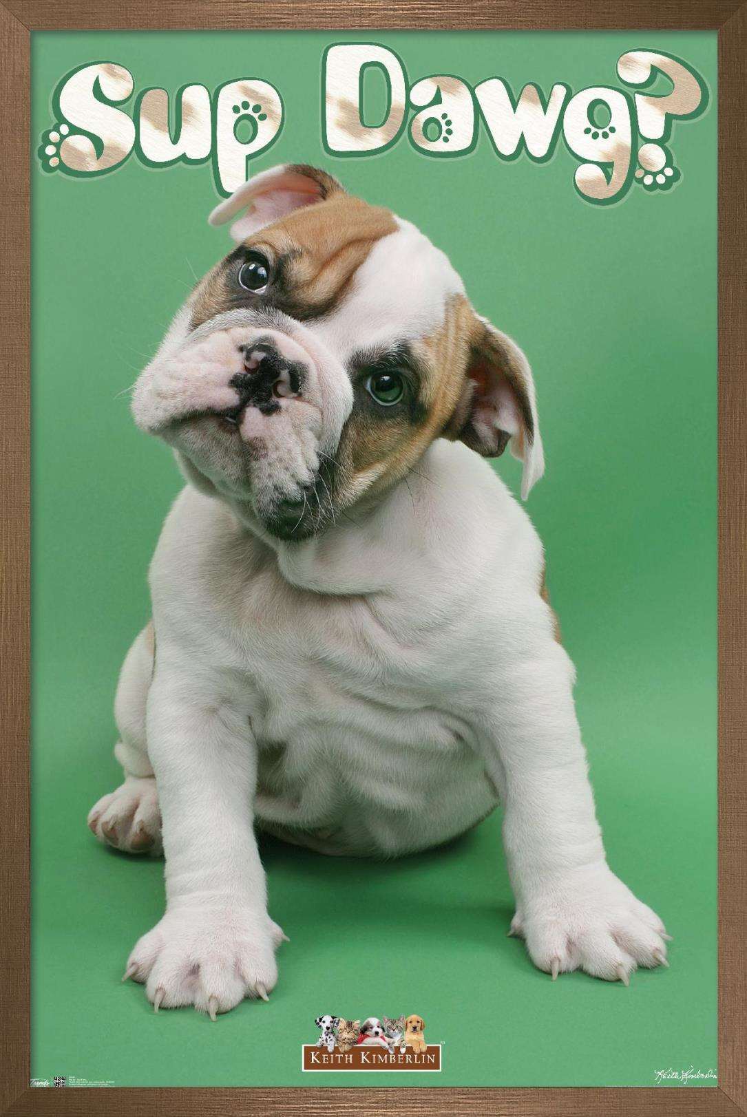 Keith Kimberlin - Sup Dawg Wall Poster, 22.375" x 34", Framed