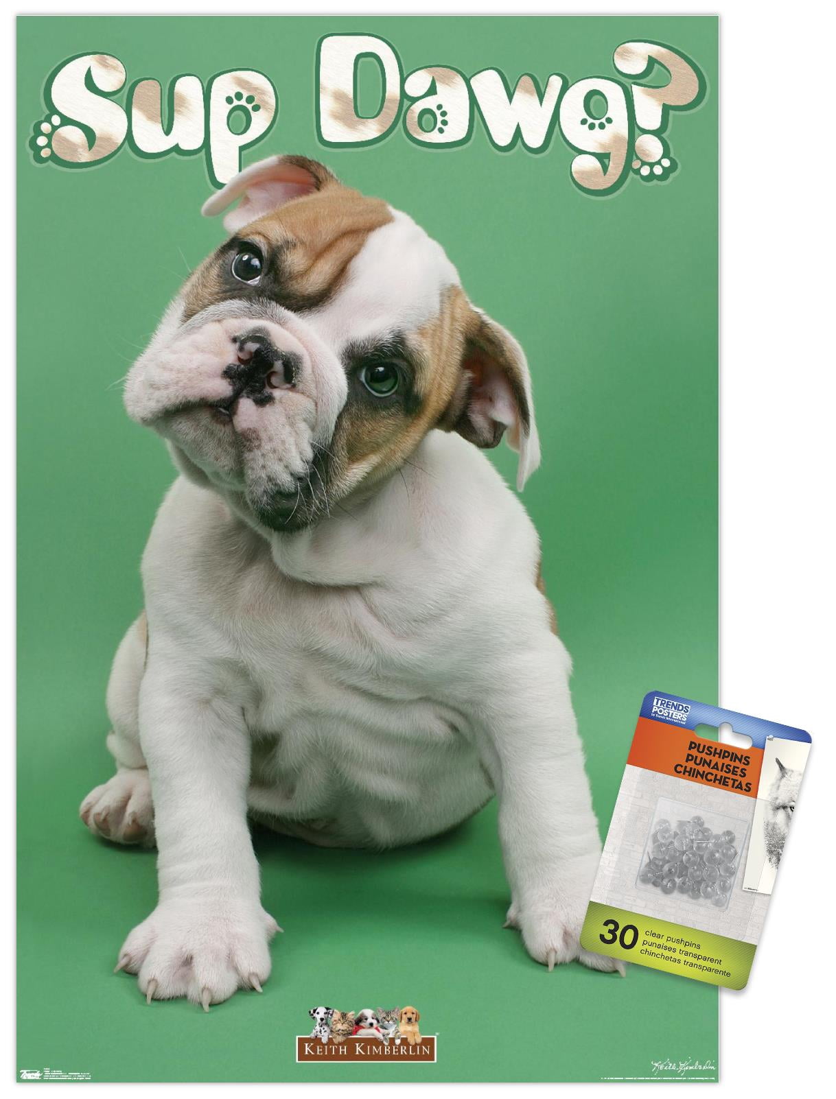 Keith Kimberlin - Sup Dawg Wall Poster with Push Pins, 14.725" x 22.375"