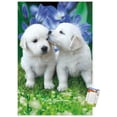 thumbnail image 1 of Keith Kimberlin - White Golden Retriever Puppies Wall Poster, 14.725" x 22.375", 1 of 6