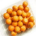 thumbnail image 1 of Kejora Fresh Golden Berries (3 Packs/15 oz), 1 of 1