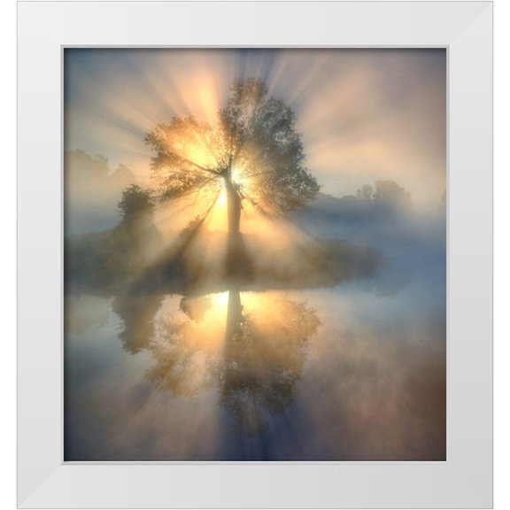 Keller 12x13 White Modern Wood Framed Museum Art Print Titled - Tree Of Light