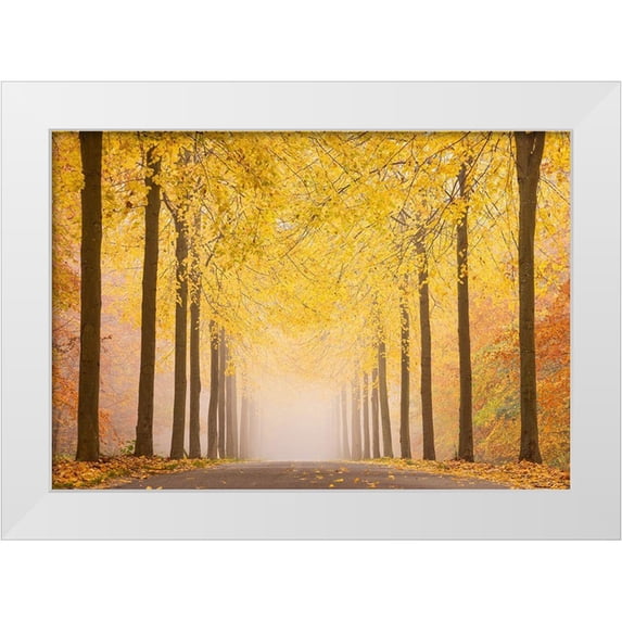 Keller 18x14 White Modern Wood Framed Museum Art Print Titled - Autumn Road