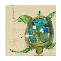 Kellie Day 'Chentes Turtle Light' Canvas Art
