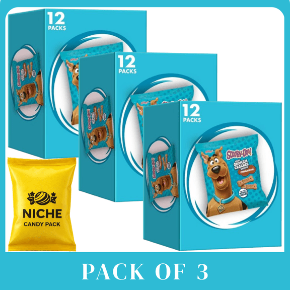 Kellogg ScoobyDoo Cinnamon Baked Graham Cracker Sticks 12oz  Fun Cinnamon Graham Snacks  3Pack