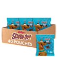 thumbnail image 1 of Kellogg's SCOOBY-DOO! Baked Graham BCF26 Cracker Snacks, Lunch Snacks, Chocolate (40 Pouches), 1 of 3