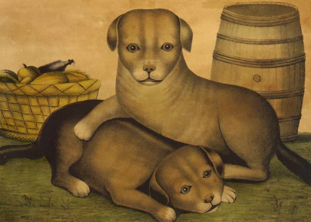 Kelloggs & Comstock Lithograph Two puppies c1849 Canvas Art - Kelloggs & Comstock (18 x 24)