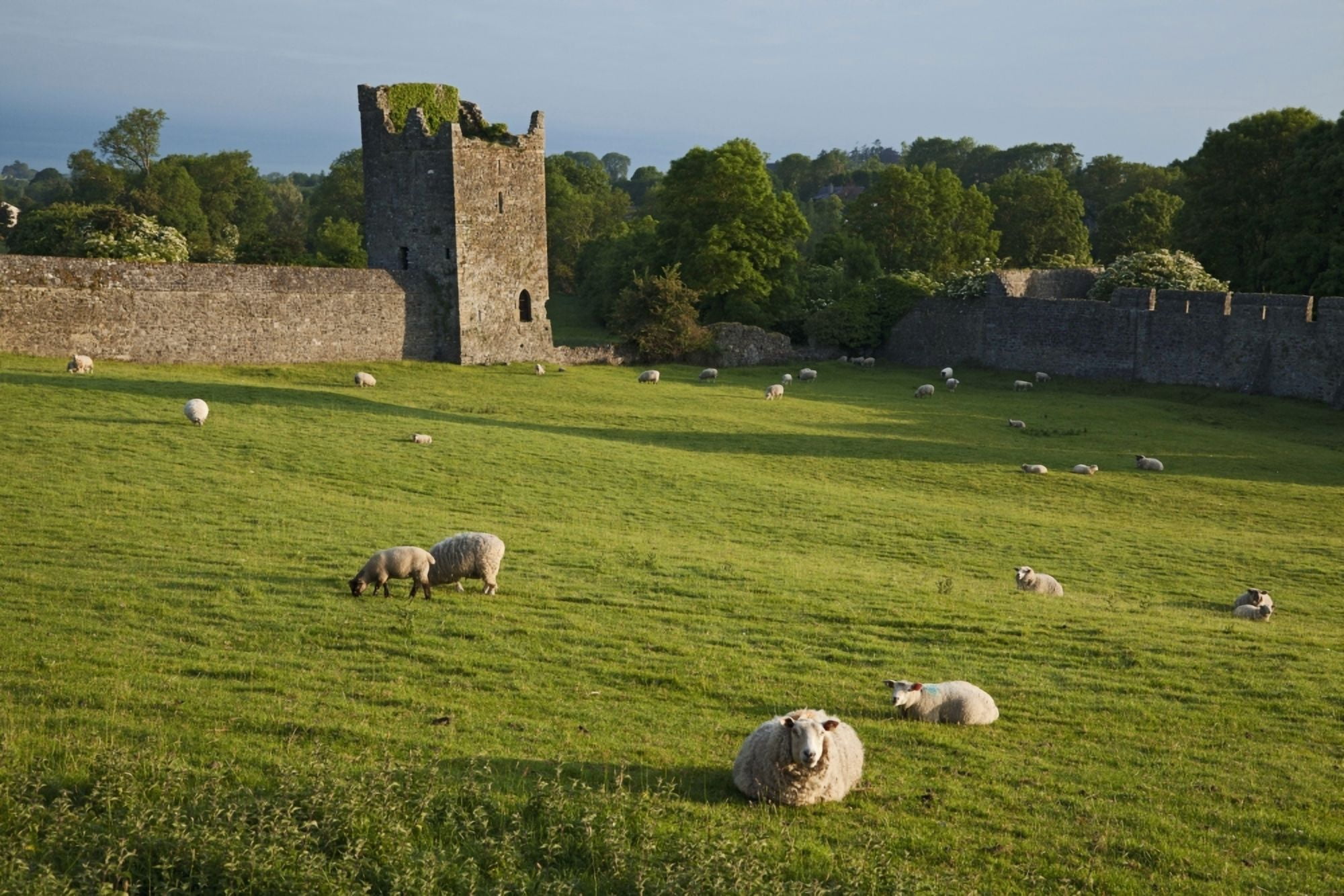 Kells Priory Count Kilkenny Ireland Canvas Art - Carl Bruemmer Design Pics (19 x 12)