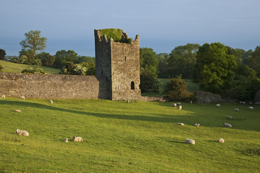 Kells Priory Count Kilkenny Ireland Canvas Art - Carl Bruemmer Design Pics (19 x 12)