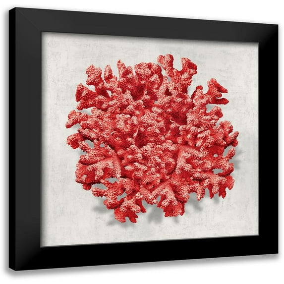 Kelly, Caroline 12x12 Black Modern Framed Museum Art Print Titled - Coral Red II