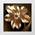 thumbnail image 1 of Kelly, Caroline 12x12 White Modern Wood Framed Museum Art Print Titled - Parrot Tulip I, 1 of 4