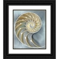 thumbnail image 1 of Kelly, Caroline 12x14 Black Ornate Wood Framed with Double Matting Museum Art Print Titled - Nautilus in Blue I, 1 of 4