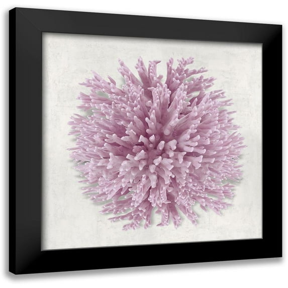 Kelly, Caroline 15x15 Black Modern Framed Museum Art Print Titled - Coral Blush I
