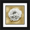 thumbnail image 1 of Kelly, Caroline 15x15 Black Ornate Wood Framed with Double Matting Museum Art Print Titled - Pure III, 1 of 4