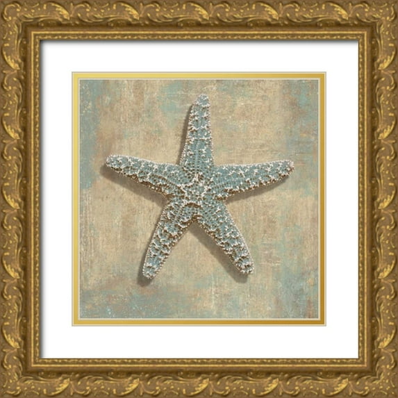 Kelly, Caroline 15x15 Gold Ornate Wood Framed with Double Matting Museum Art Print Titled - Aqua Starfish