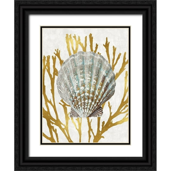 Kelly, Caroline 19x24 Black Ornate Wood Framed with Double Matting Museum Art Print Titled - Shell Coral Gold IV
