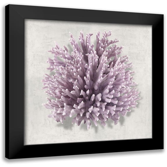 Kelly, Caroline 20x20 Black Modern Framed Museum Art Print Titled - Coral Amethyst I
