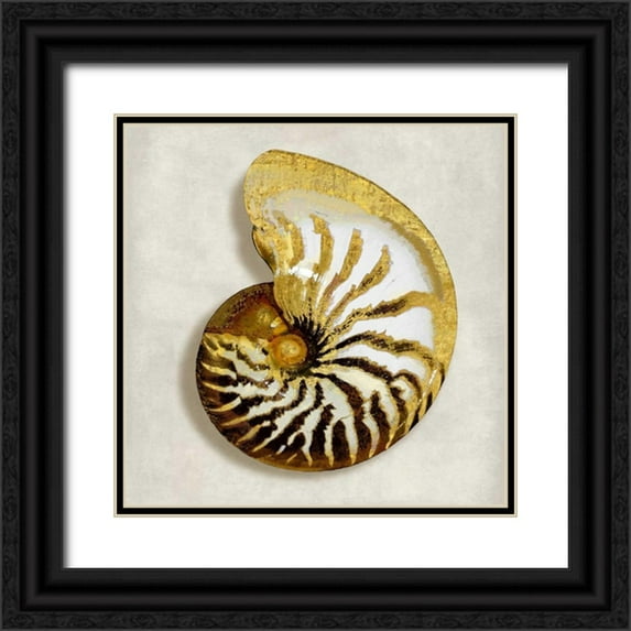 Kelly, Caroline 20x20 Black Ornate Wood Framed with Double Matting Museum Art Print Titled - Golden Ocean Gems on Ivory II