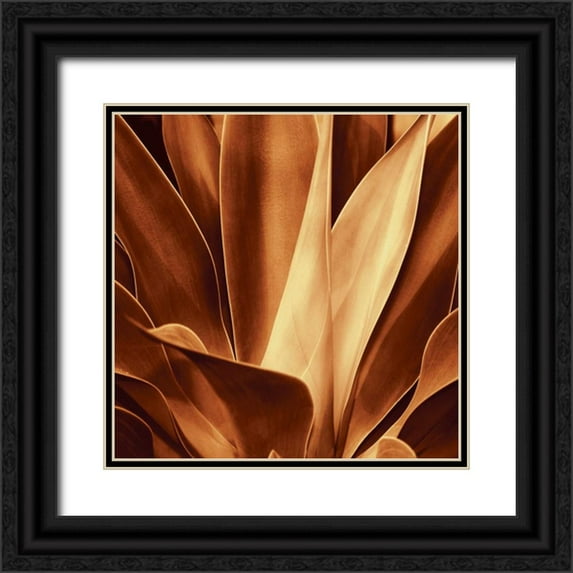 Kelly, Caroline 20x20 Black Ornate Wood Framed with Double Matting Museum Art Print Titled - Santa Fe I